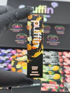 Buy Puffin 2G Disposable Platinum Edition Online