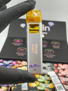 Buy Puffin 2G Disposable Platinum Edition Online
