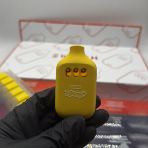 boutiq switch gum 2g disposable